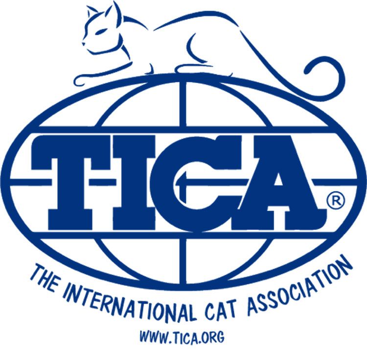 Логотип организации TICA