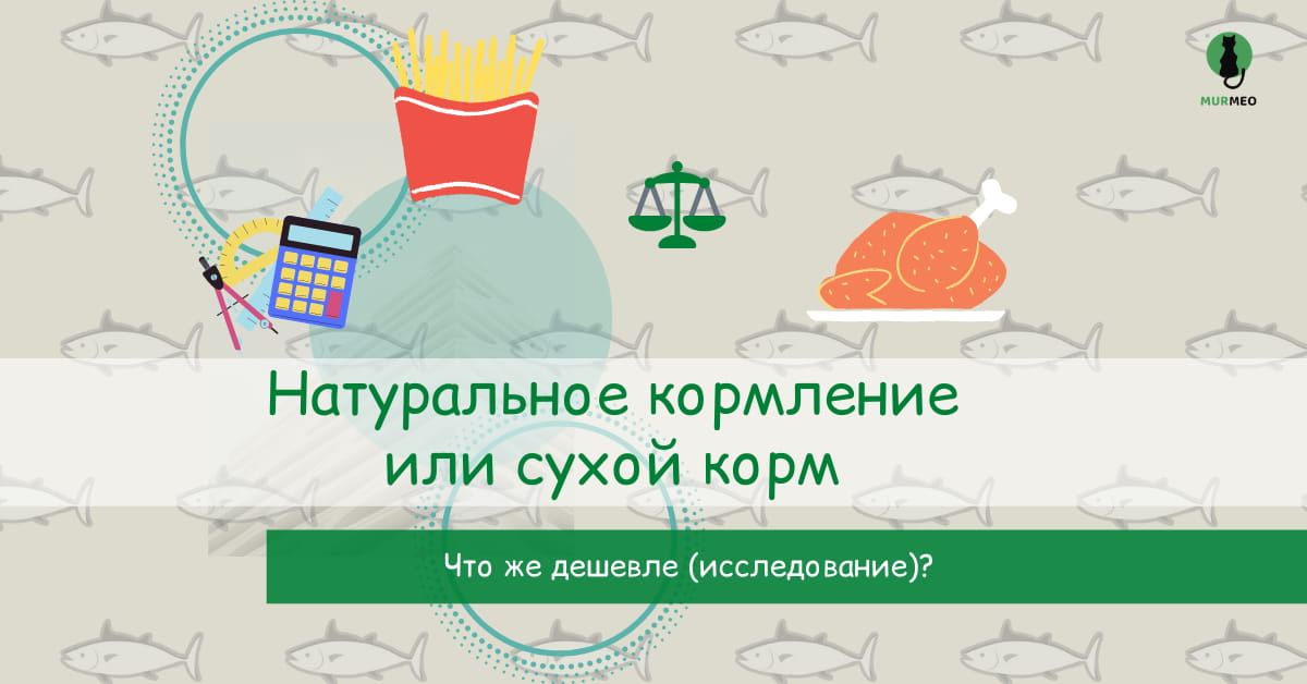 Натуралка или сухой корм - что дешевле?