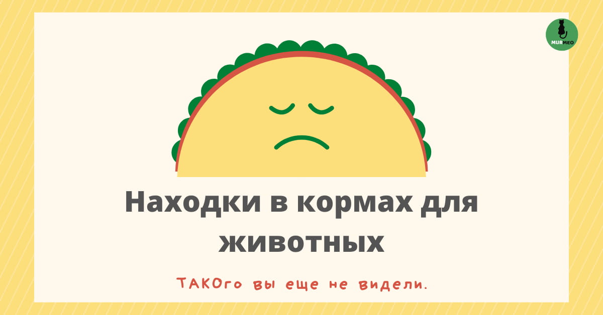 Находки в кормах для животных