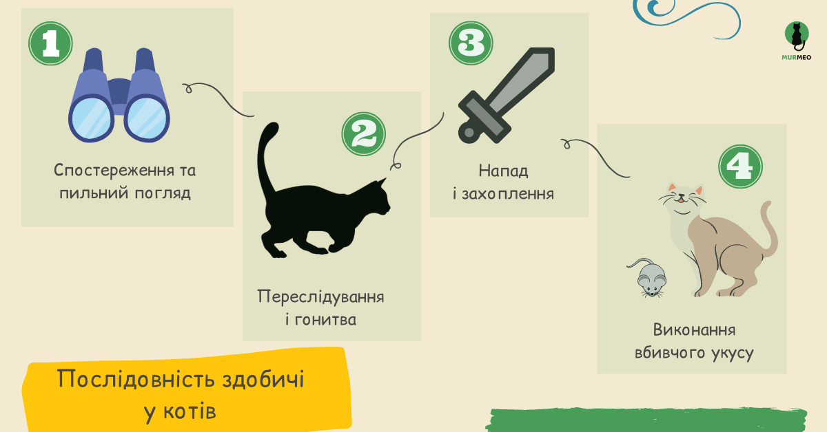Послідовність здобичі у котів (4 кроки) - схема