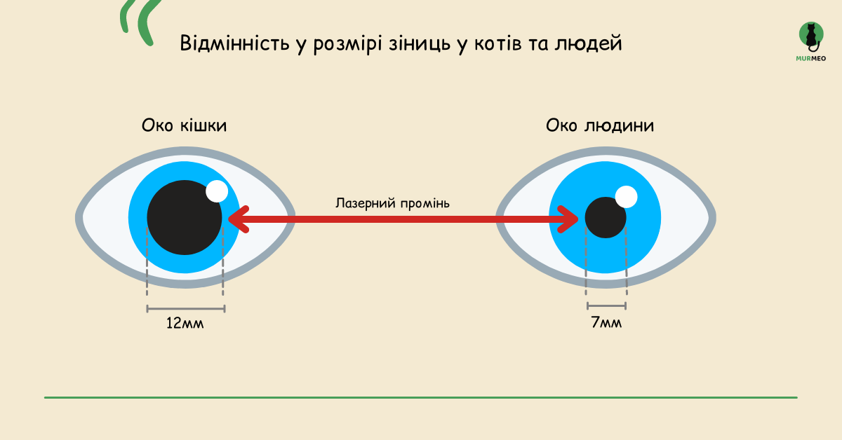Імовірність проникнення лазерного променя в залежності від розміру зіниць у котів та людей