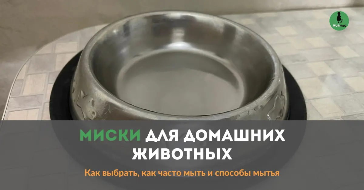 Миска для Домашних Животных