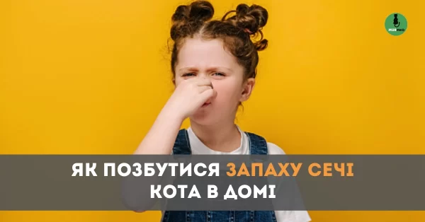 Як Позбутися Запаху Сечі Кота в Домі - баннер