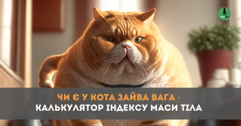 Калькулятор Індексу Маси Тіла (ІМТ) баннер