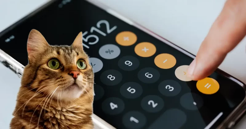 Калькулятор Перерахунку на Суху Речовину