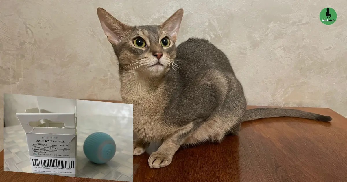 Интерактивный мячик для кошек