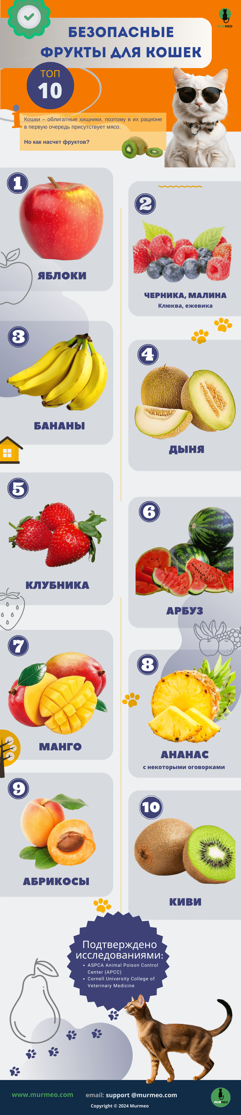what-fruits-can-eat-cats-inforgraphics Какие фрукты можно давать кошкам (инфографика))