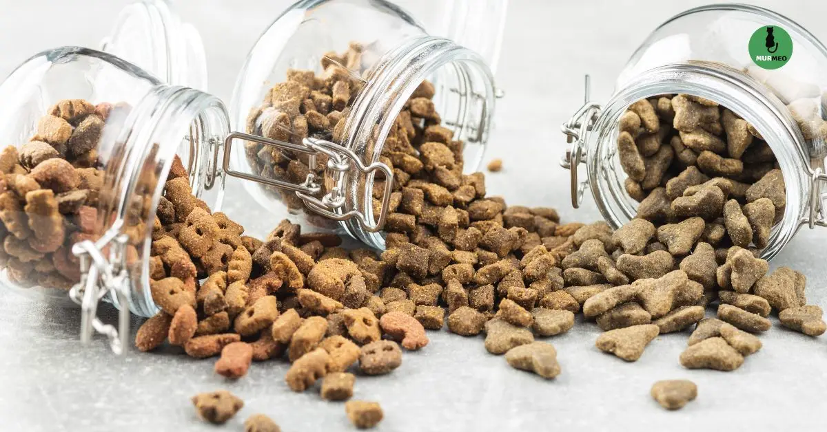 Как Правильно Хранить Сухой Корм для Котов