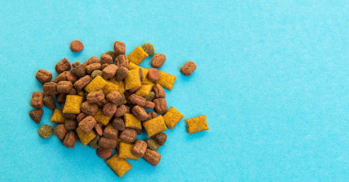 Корм для кошек крупным планом